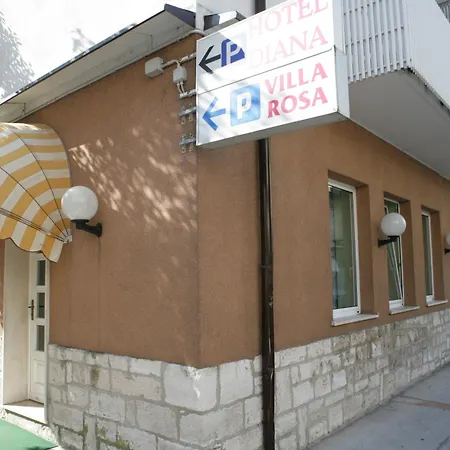 Rosa Grado