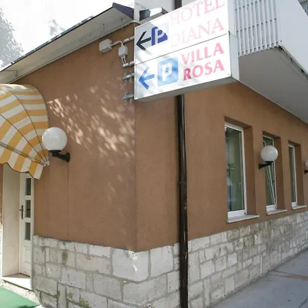 Rosa 3*