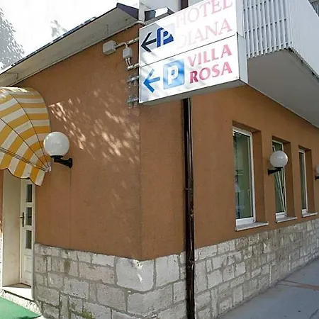 Rosa Grado